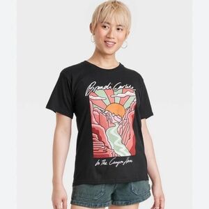 Nwt Brandi Carlile graphic tee